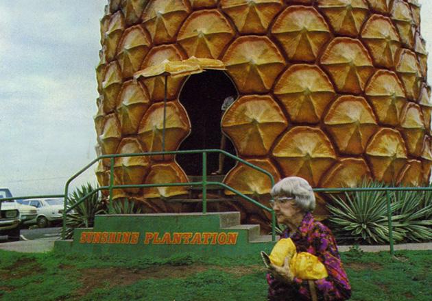 The House of Pineapple