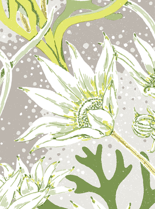 Flannel Flower Lime Wallpaper Swatch Sample