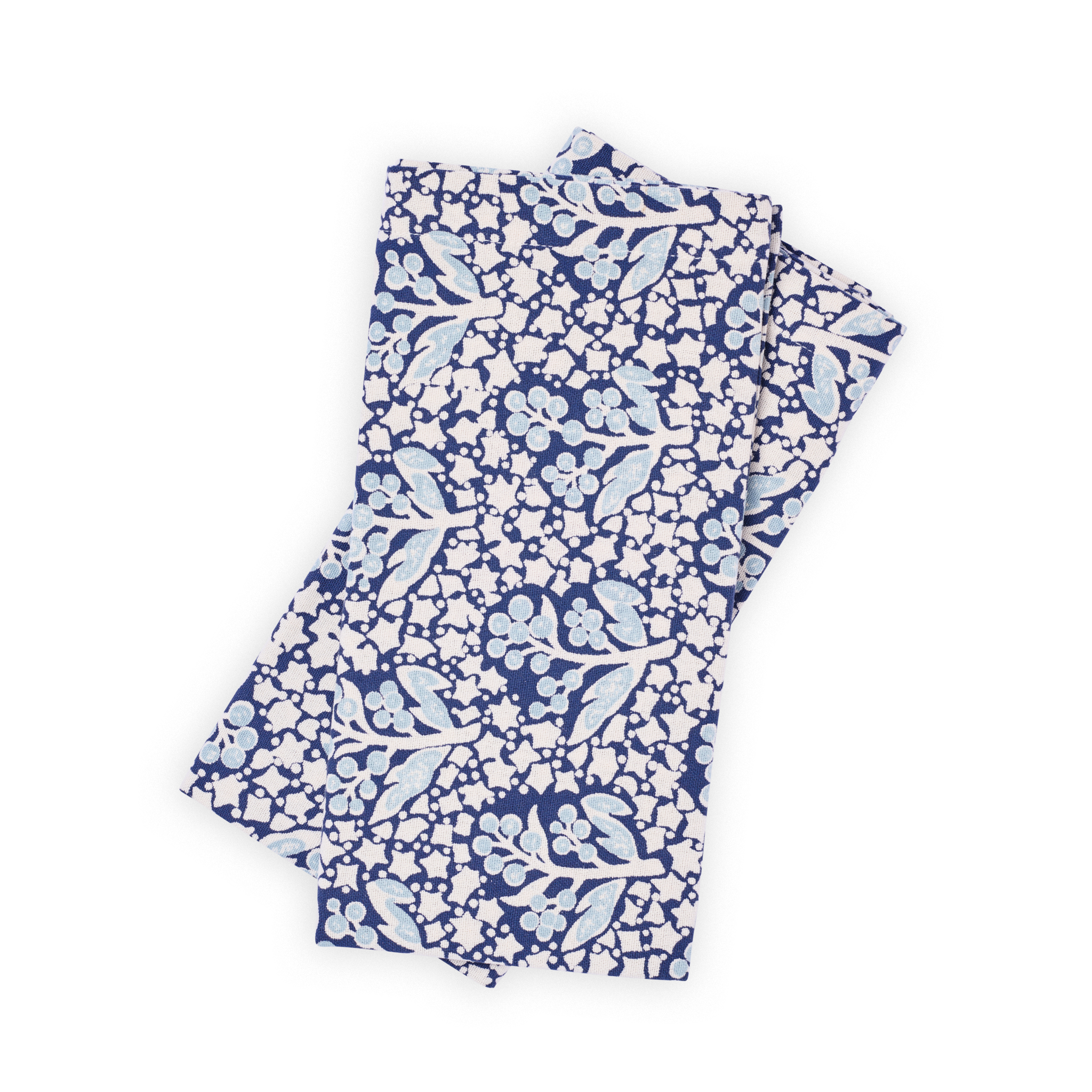 Acacia Blue Napkin Set (2)