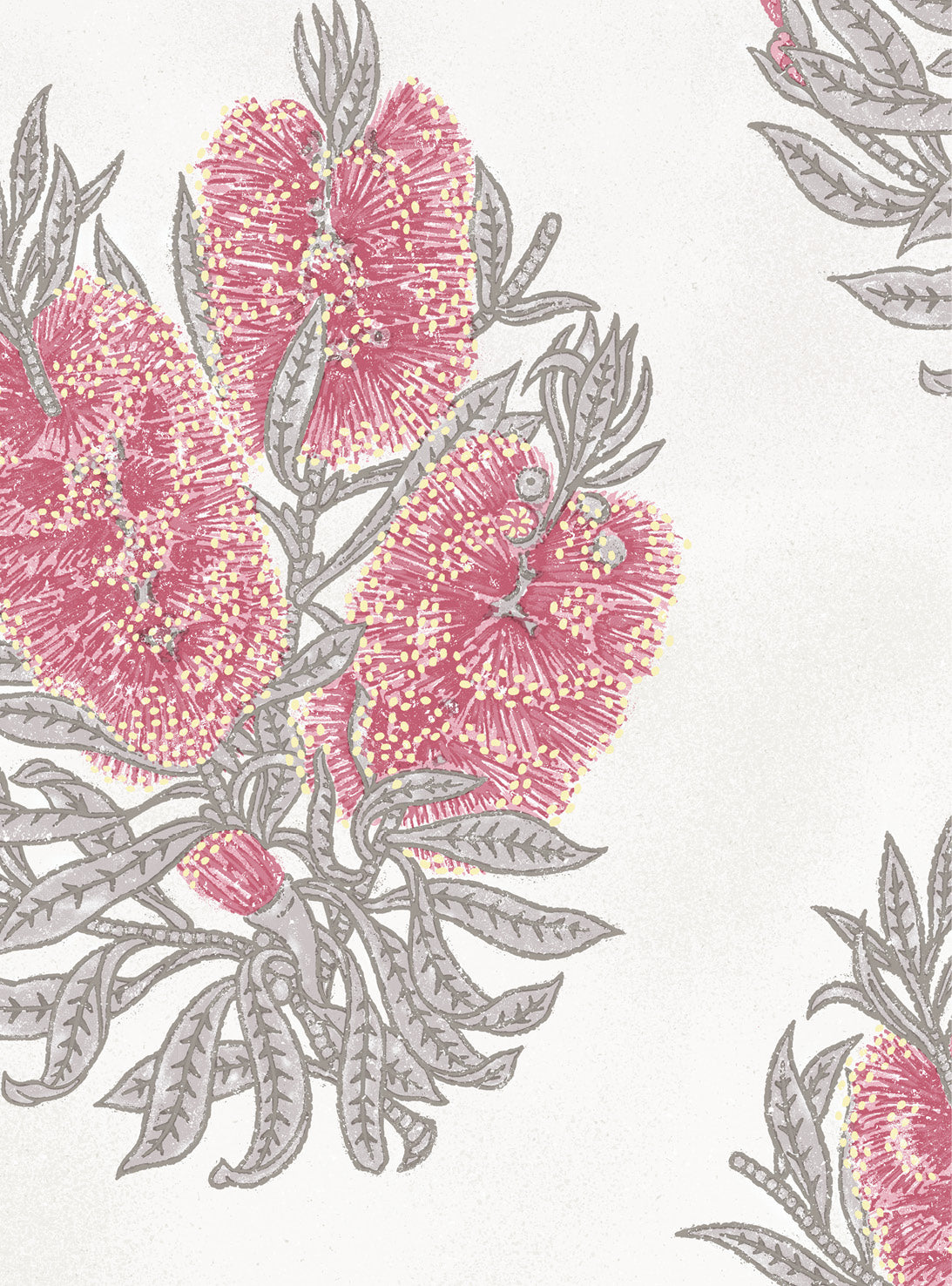 Cameo Cherry Wallpaper Swatch/Memo