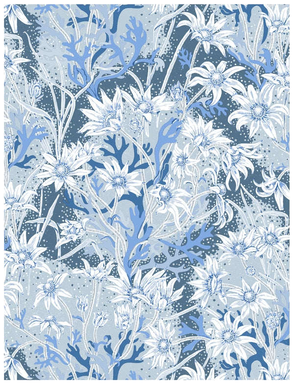 Flannel Flower Blue Wallpaper Swatch Sample