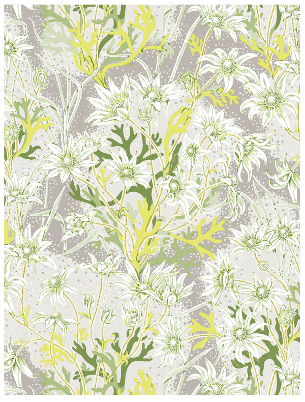 Flannel Flower Lime Wallpaper Swatch Sample