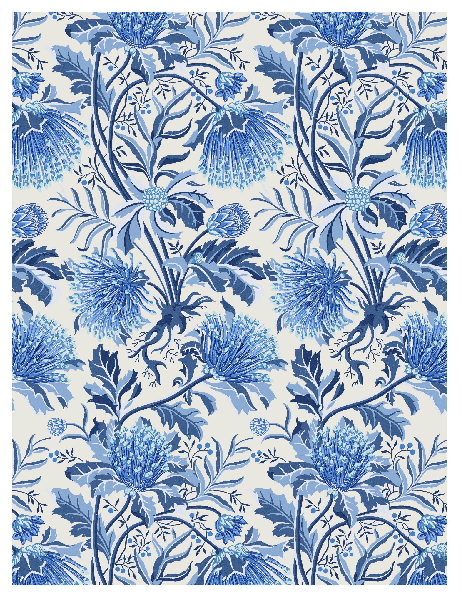 Matchstick Banksia Blue Wallpaper