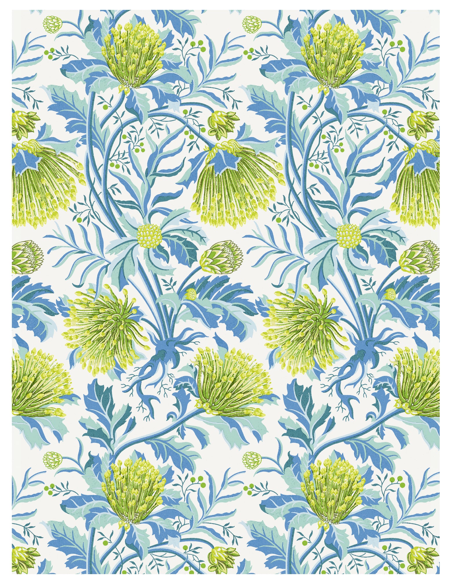 Matchstick Banksia Green Wallpaper