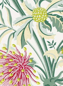 Matchstick Banksia Pink Wallpaper Swatch