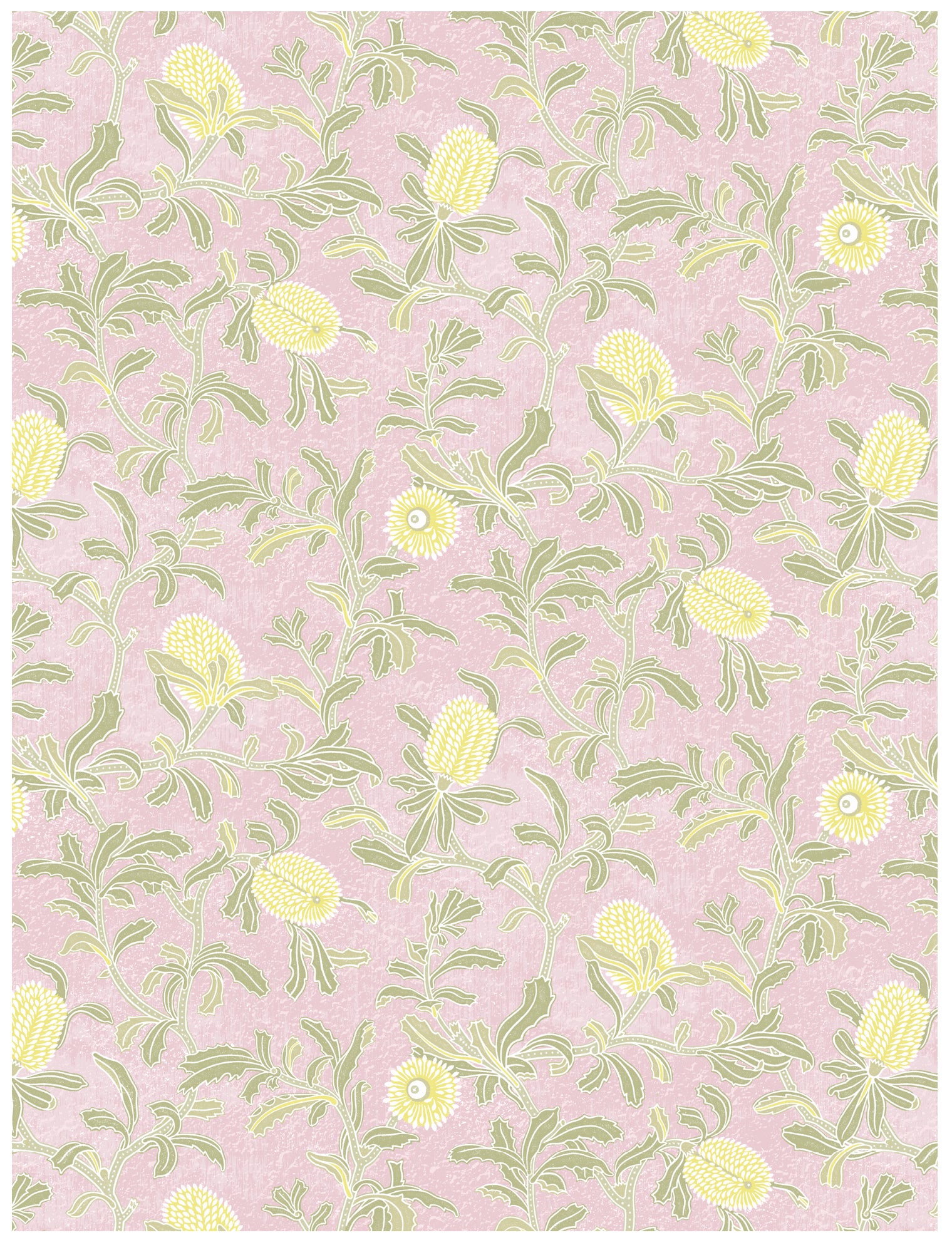 Silver Banksia Pink Wallpaper