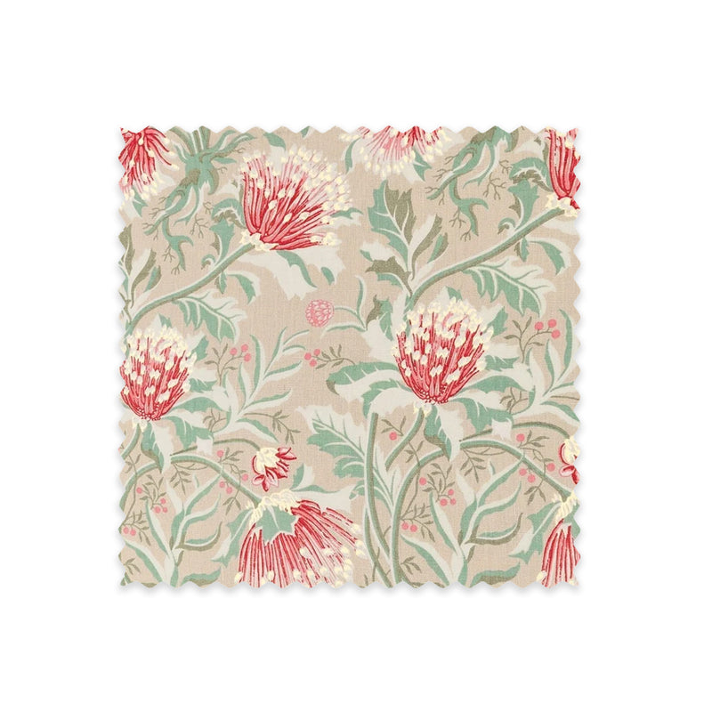 Matchstick Banksia Earth Swatch
