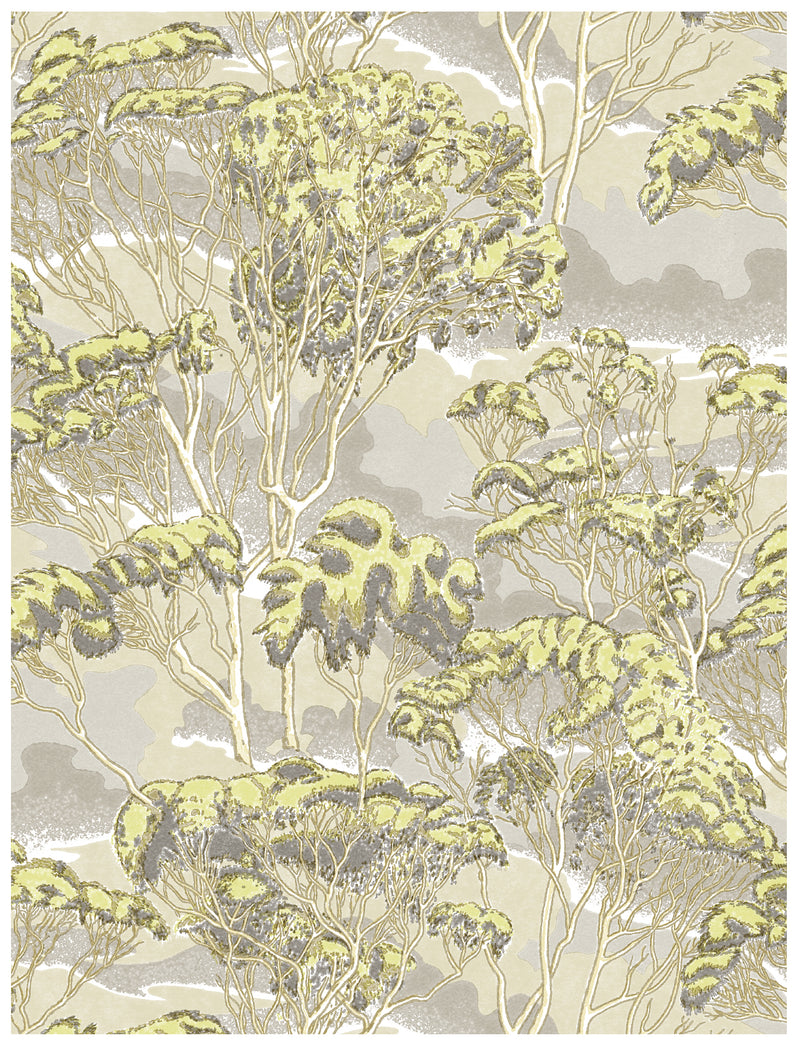 Trees Natural Wallpaper Swatch Sample
