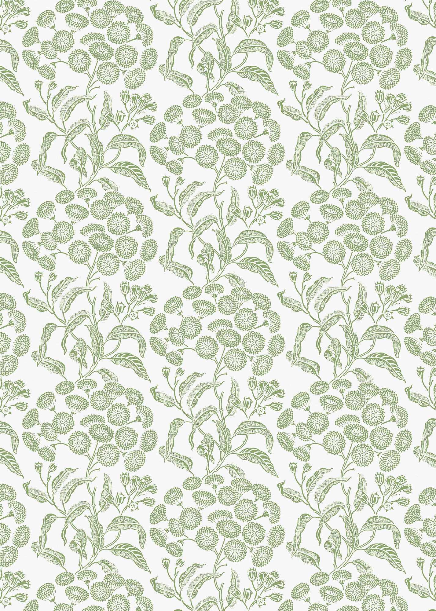 UG-Angophora-GreenWallpaper2024_5