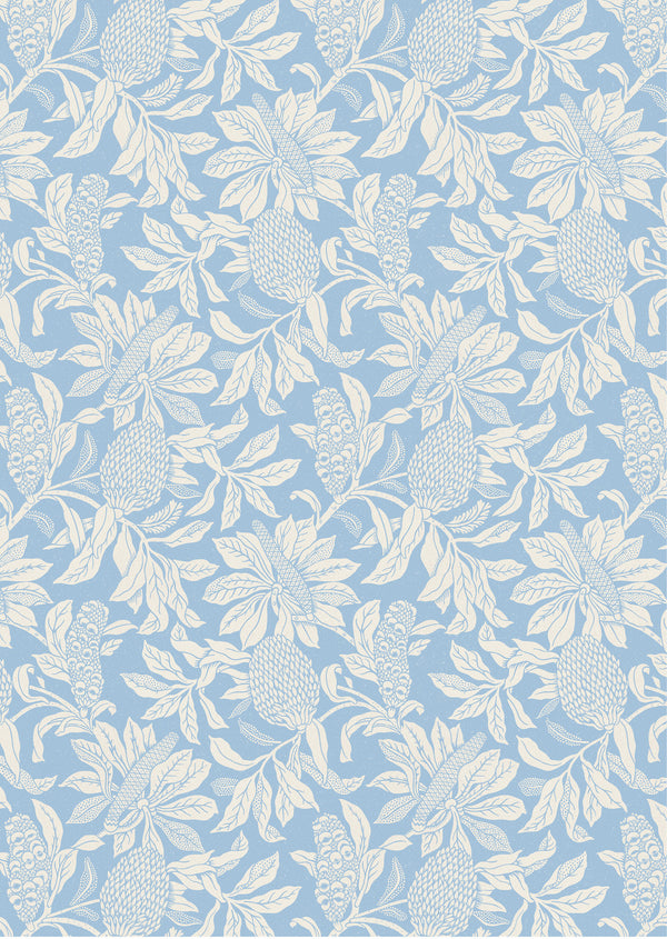 UG-Banksia-Blue-Wallpaper 2024/5