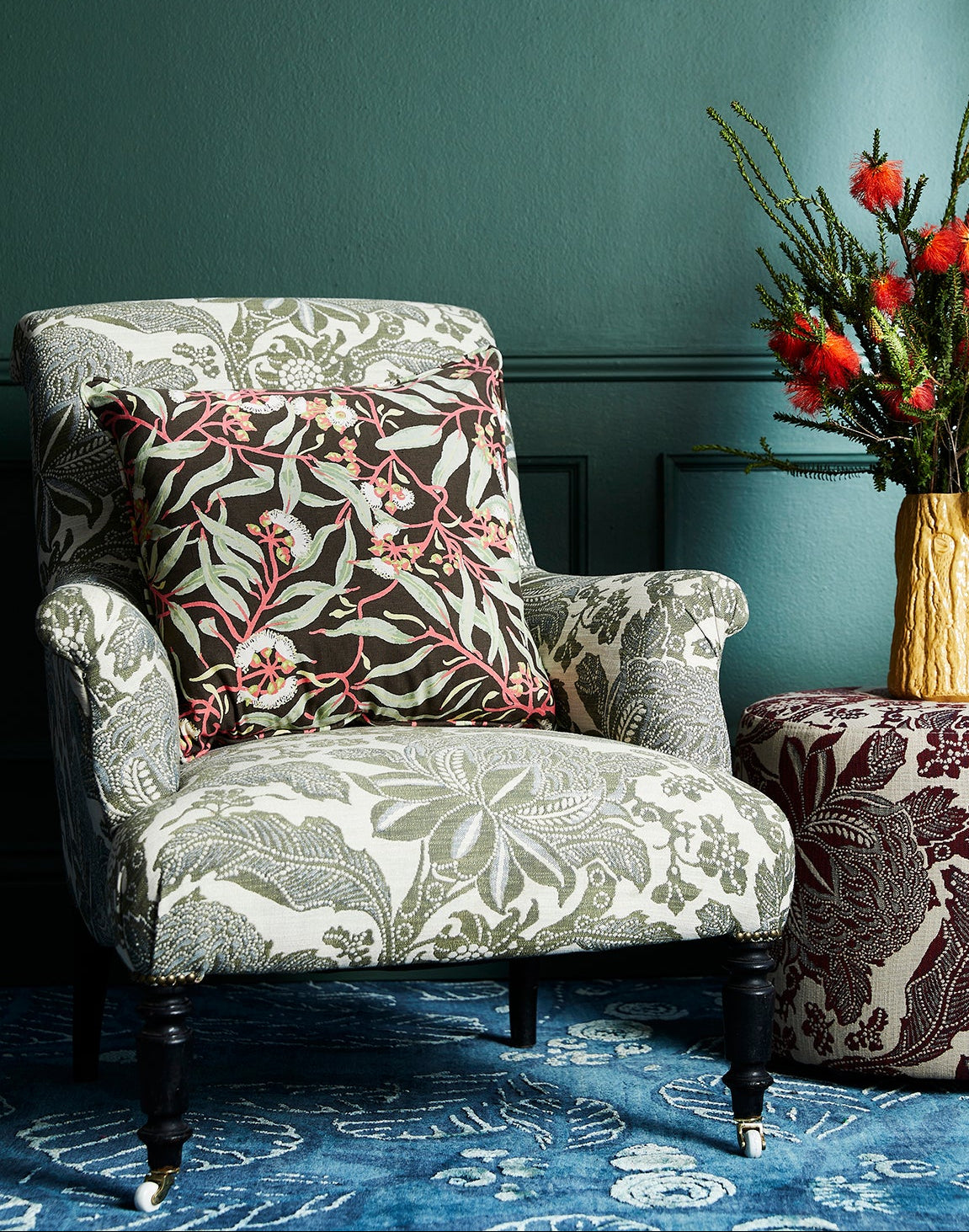 waratah sage