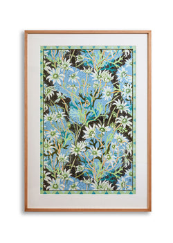 Flannel Flower Limited Edition Fine Art Giclee Print