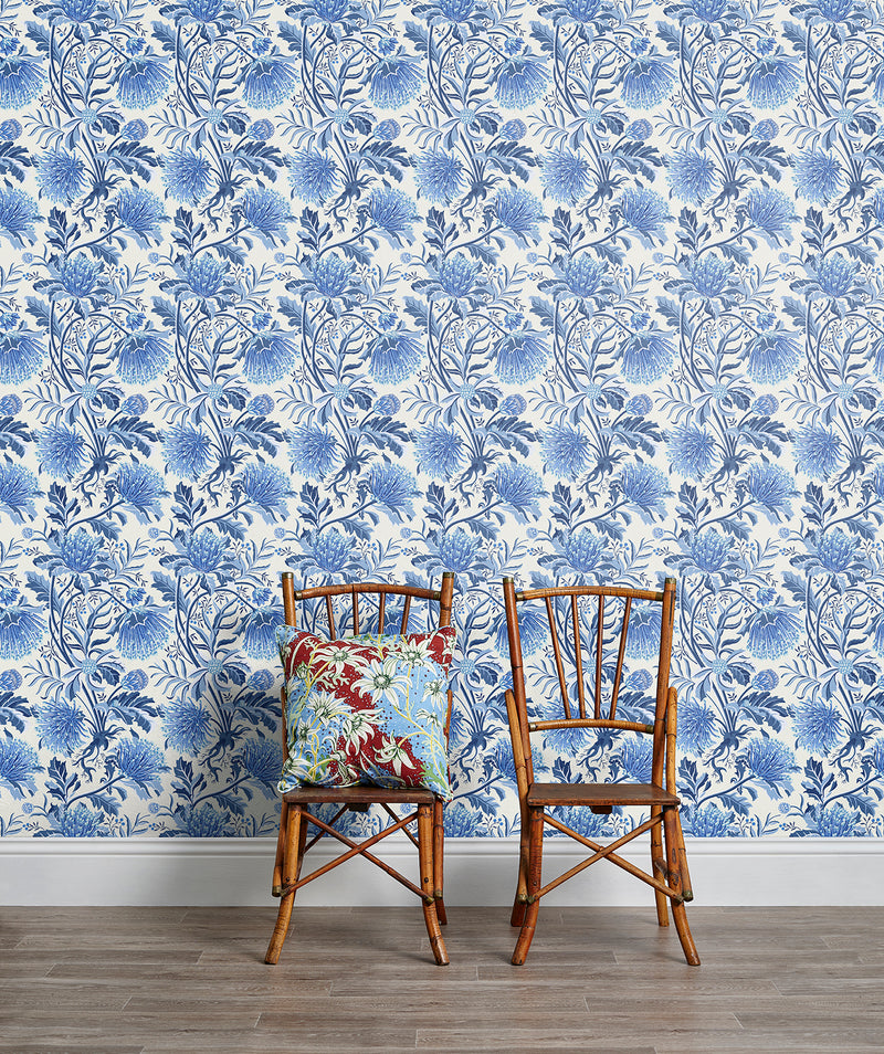 Matchstick Banksia Blue Wallpaper