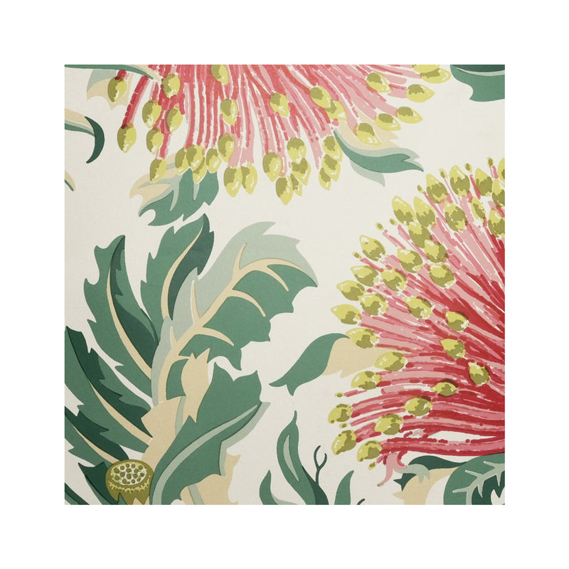 Matchstick Banksia Pink 20cm Wallpaper Swatch
