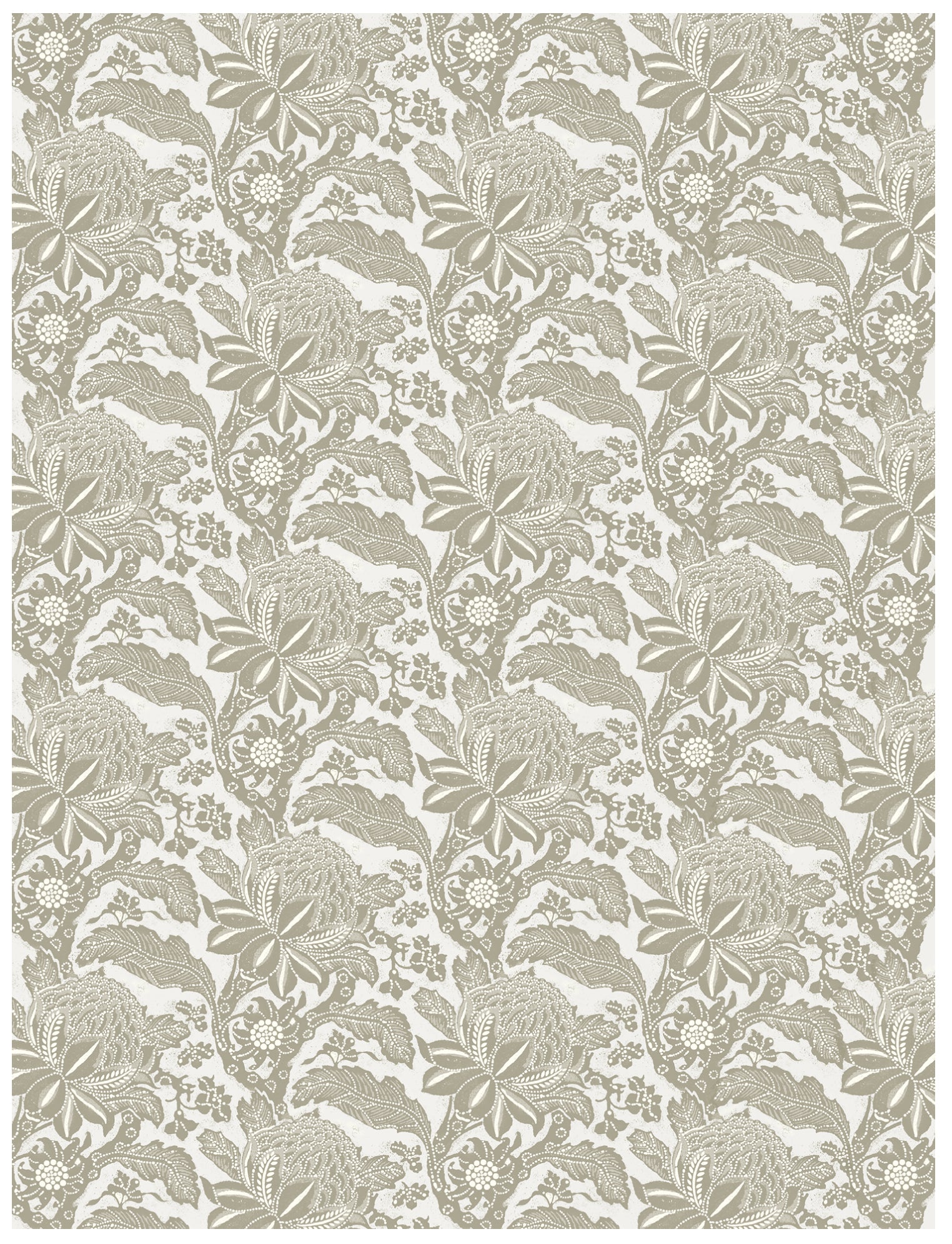 Waratah Camel Wallpaper