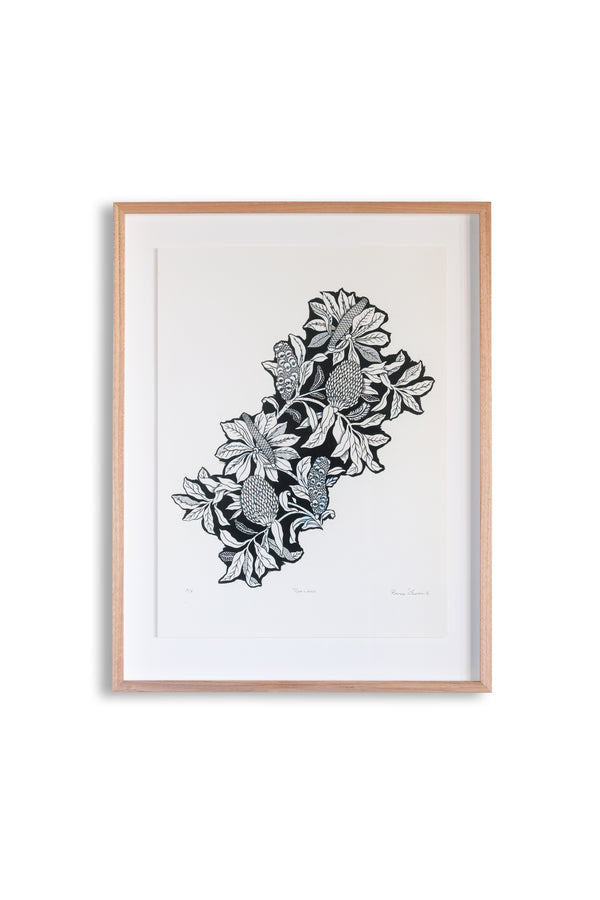 Banksia Limited Edition Fine Art Giclee Print