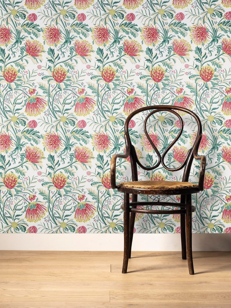 Matchstick Banksia Pink Wallpaper