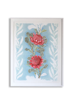 Imperial Waratah Limited Edition Fine Art Giclee Print