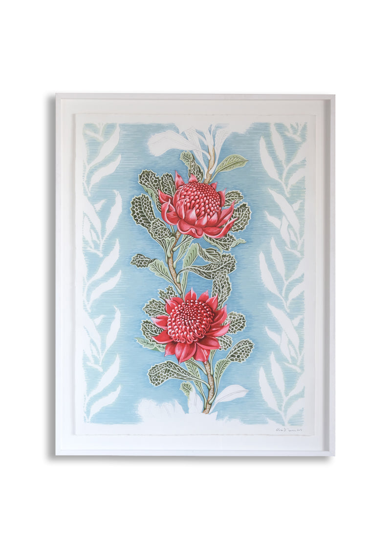 Imperial Waratah Limited Edition Fine Art Giclee Print