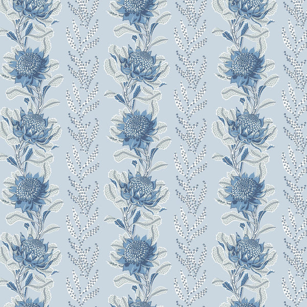 Imperial Waratah Blue Wallpaper